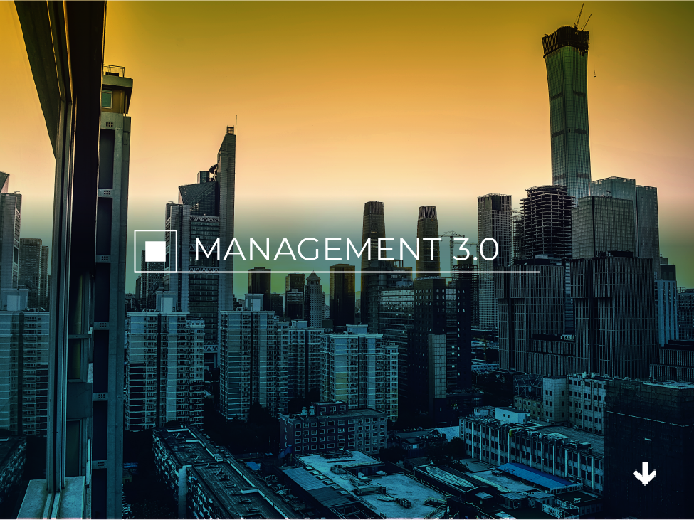 management-3-0_orig
