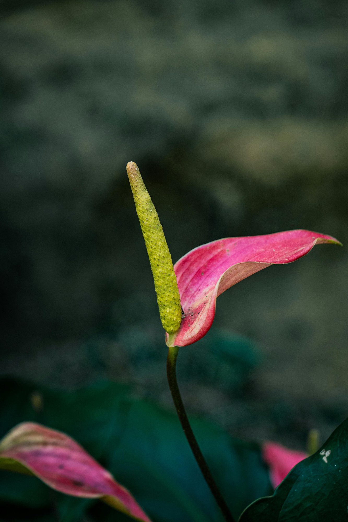 pexels-optical-chemist-340351297-31766418 pexels-optical-chemist-340351297-31766418